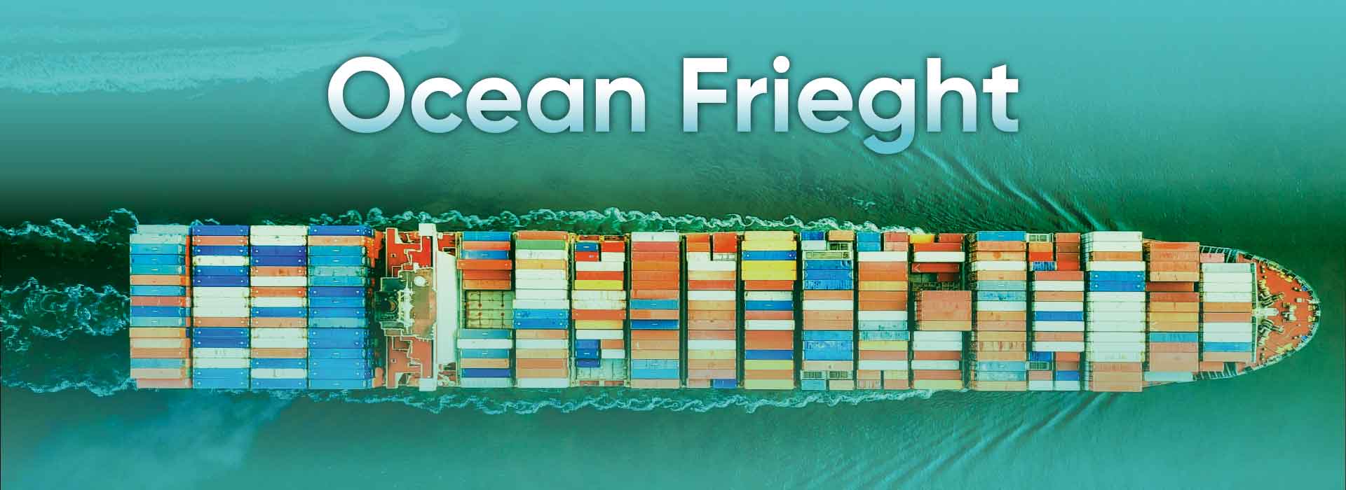 Easy Global Logistics